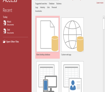 Microsoft Access Database